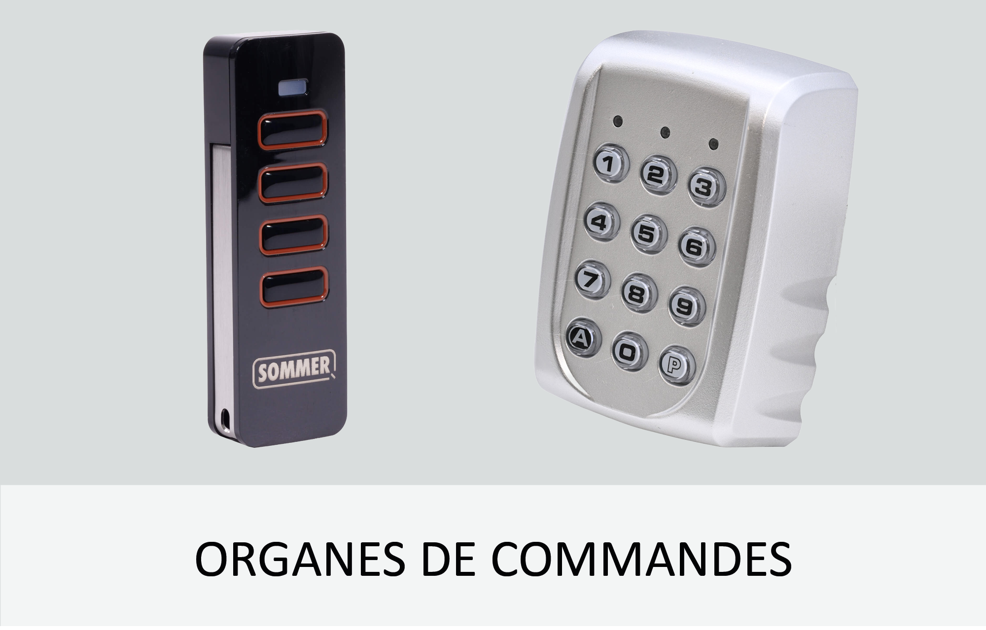 Organes de commandes pour portail